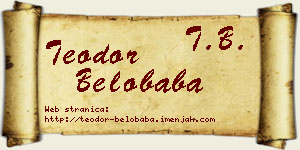Teodor Belobaba vizit kartica